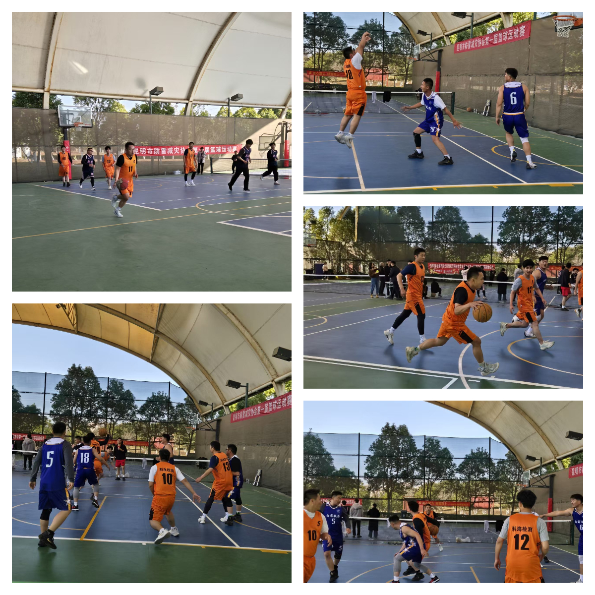 1768873176554249.jpg 1768873176554249.jpg